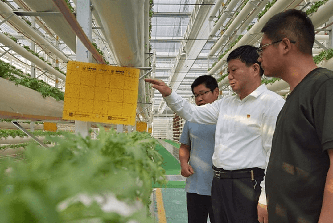 新华社点赞王传喜：“抱团共富更有奔头”